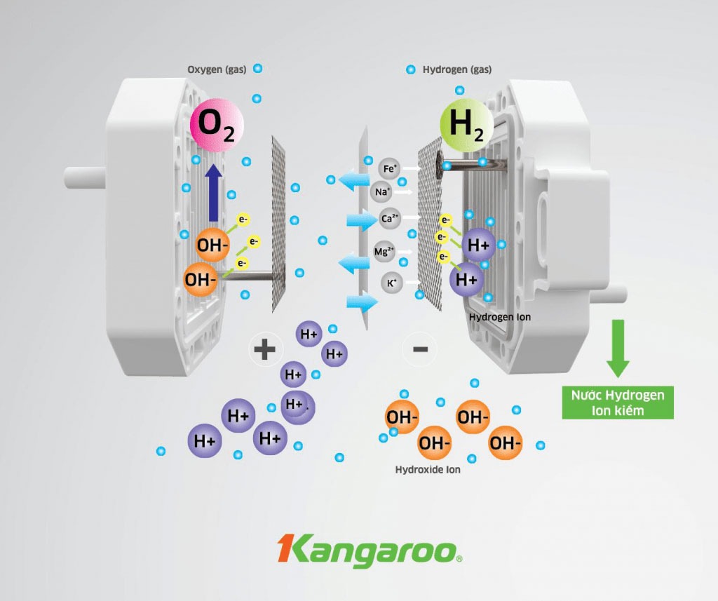 may-loc-nuoc-kangaroo-hydrogen-kg100eo-3